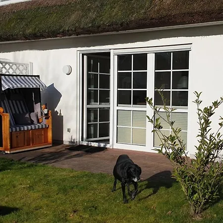 Haus Seeteufel Zingst Buitenkant foto